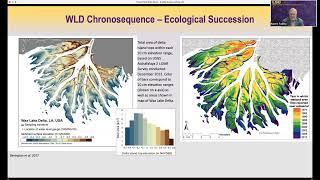 Leaky Deltas webinar with Robert Twilley and Marc Simard