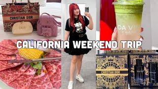 California Weekend Trip Dior Beauty, Japanese BBQ, Da Vien Matcha, Aquarium Of The Pacific