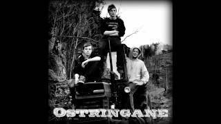 Ostringane med nytt Album Baum & Svidd Gummi 2014