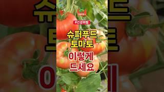 슈퍼푸드 토마토 이렇게 드세요 | 건강 건강정보 건강식단