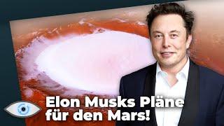 “Nuke Mars”: So will Elon Musk den Mars lebensfreundlicher machen!