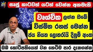 Scorpio Personal Horoscope | වෘශ්චික හිමි ඔබේ ලක්ෂණ | ලොතරැයි දිනුම් අංක මෙන්න | Wushchika Lagnaya