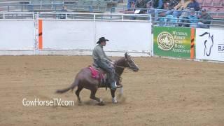 Zane Davis: Cow Horse Trainer