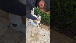 إبني كان مصمم 