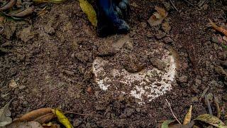 Golden treasure found - Bulgarian Treasures found Search by Metal detector