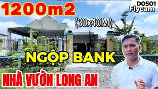 Nhà vườn Bình Chánh | Nhà vườn Long An 1200m2 có thổ cư GIÁ NGỘP BANK | Nhà vườn 365 | D0501