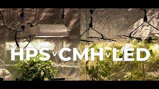 SunGrown vs HPS vs LED vs CMH , Outdoor vs Indoor , Oldschool vs Newschool HYPE , Lamb's Bread