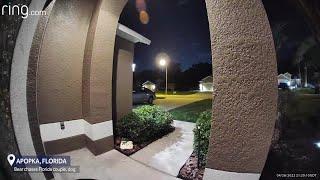 Wild viral video shows black bear chasing Apopka couple and their dog