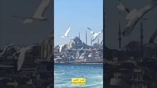 مضيق البوسفور وبرج الفتاة في اسطنبول | Istanbul's Maiden's Tower and Bosphorus Straight | Kız Kulesi