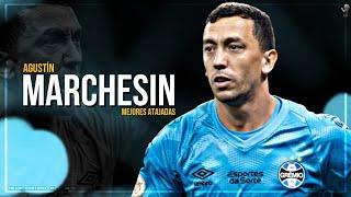 Agustín Marchesin Mejores Atajadas 2024 • Club Grêmio