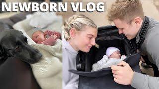 DAY IN THE LIFE WITH A NEWBORN | MEETING OUR DOG | James and Carys