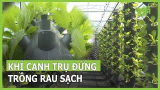 Sản xuất rau sạch bằng khí canh trụ đứng | VTC16