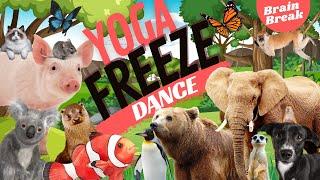 Yoga Freeze Dance: Funny Animal Edition! | Brain Break | PE Warm Up | Dance Party