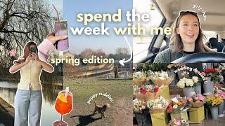 vlog  spend the week with me, home updates, wedding dresses, new recipes & more !!