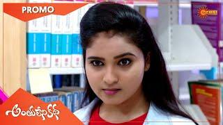 Anthulenikatha - Promo | 10 Feb 2021 | Gemini TV Serial | Telugu Serial