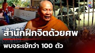 เร่งตรวจสาขาฝึกจิตด้วยศพ พบจระเข้กว่า 100 ตัว | 22 พ.ย. 67 | ข่าวใหญ่ช่อง8