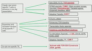 Challenges to Precision Medicine for Anti-Cancer Immunotherapy