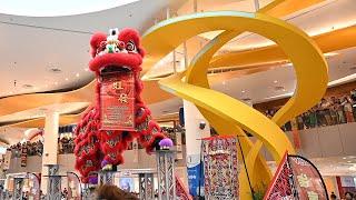 Watch This Epic Lion Dance Performance at Singapore's Most Popular Mall, Vivo City!