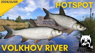 Asp Hotspot Volkhov River Russian Fishing 4