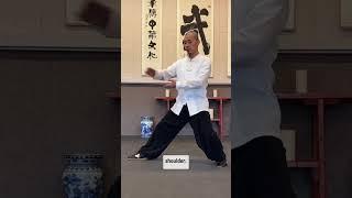 Tai chỉ Philosophy以意引气(yi yi yin qi)Use your mind leading your Chi #taichi ￼#taiji #太极拳