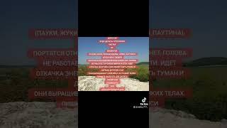 #магия #духовноеразвитие #ритуал #ведьма #инсектоиды #ясновидение #снятьнегатив #езотерика #шаман