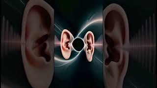 Parallel Ear with @infinatimusic