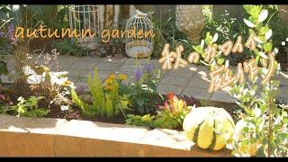 Autumn flower bed making｜How to create a beautiful