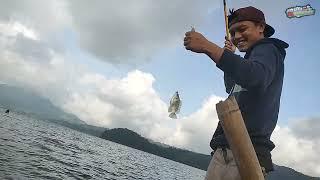 Mancing Nila dan Serok Udang di Danau Moat Boltim Sulawesi Utara