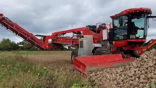 Zuckerrübenernte 2020 Vom Feld bis zur Fabrik. Sugar beet harvest 2020 From the field to the factory