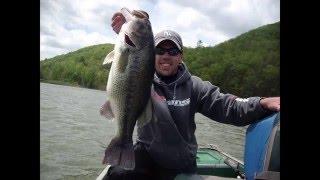 bassfishingvideo