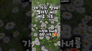 자녀와 가정을 위한 기도 마가복음 4장 마태복음 13장 누가복음 8장 말씀 앞에서 찬양 마더와이즈 지혜 기도문 기도 성경 읽기 성경 통독 오디오 바이블 찬송 예배 시작 대표 기도문