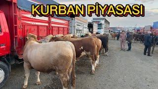 KIRIKKALE HAYVAN PAZARI YENİ 22 NİSAN 2025