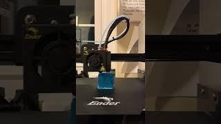 Ender 3 Pro Cat 3d Print Timelapse