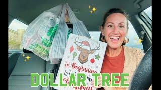 DOLLAR TREE HAUL | Exciting NEW Finds