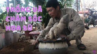 | CÂY CẢNH CHỢ HÀNG | Đoạn Đằng Phong | Hải Phòng