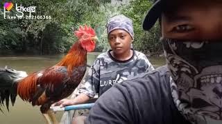 meghalaya funny video