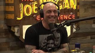 Joe Rogan Experience #1677 - Tim Dillon