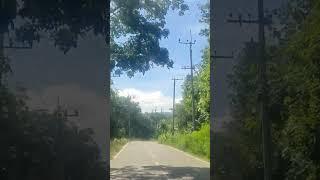 #viral #nature