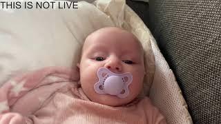 Baby Kayla Highlights LIVE NEWBORN - 76 DAYS