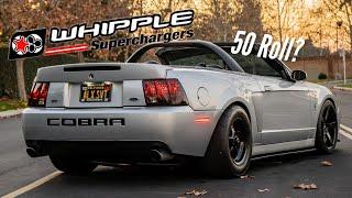 Nasty GEN 5 Whipple Cobra hits the streets 800HP