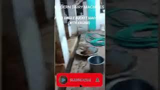 fixed pipeline single bucket milking machine | Modern Dairy Machines