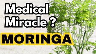 Moringa Magic: 10 Amazing Health Benefits of the Ultimate Superfood!