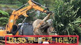 경남 합천 최대의 특수목 농장? (자막을 키세요)