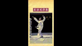 道教武当《龙华拳》 功夫 中华传统武术 传统武术