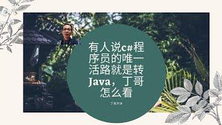 有人说c#程序员的唯一活路就是转Java，丁哥怎么看?