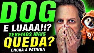  CRIPTOMOEDAS E DOG GO TO THE MOON VÃO SUBIR ? MAIS QUEDA NAS CRIPTOMOEDAS ? AUGUSTO BACKES