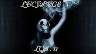 LCA.11.wmv