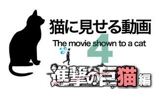 【ネコ用】猫に見せる動画４   The video for Cats Only 【Cat Games】進撃の巨猫編　Attack on Titan