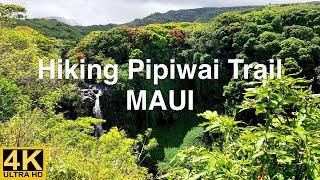 Pipiwai Trail,Maui,Makahiku Fall,Bamboo Forest,Waimoku Falls,the most beautiful trail in Maui,Hawaii