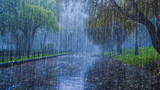 Within 3 minutes you will fall asleep instantly with Heavy Rain, Strong wind on the road in the park